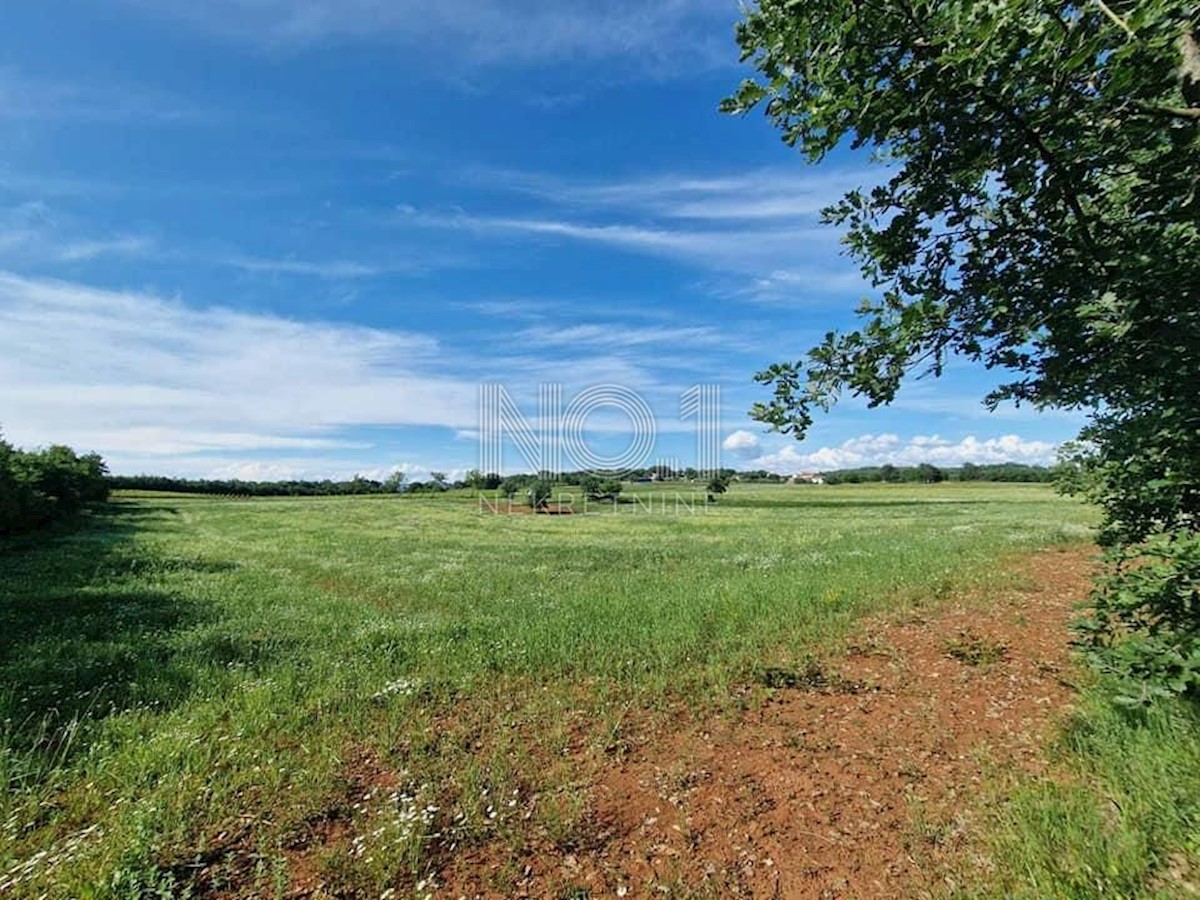 Terreno Markovići, Vižinada, 10.858m2