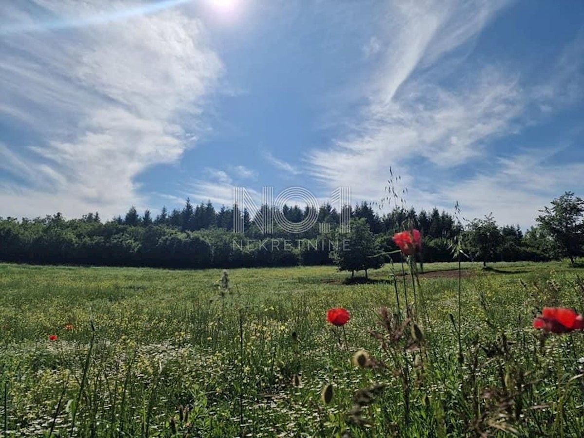 Terreno Markovići, Vižinada, 10.858m2