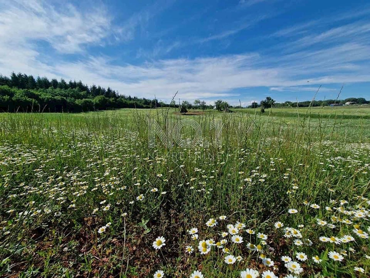 Terreno Markovići, Vižinada, 10.858m2