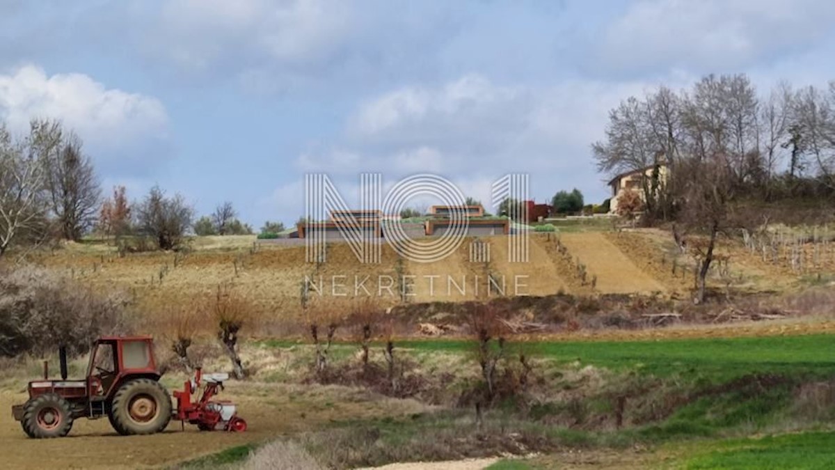 Terreno Motovun, 4.175m2