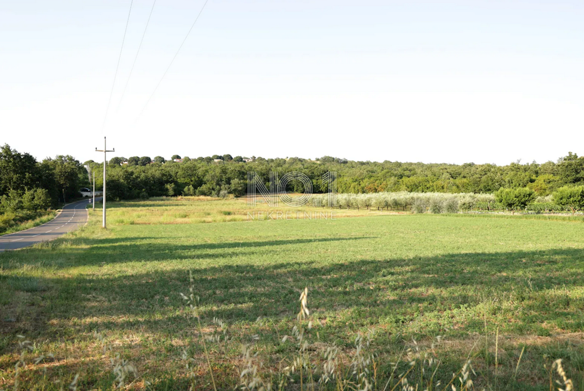 Terreno Žbandaj, Poreč, 11.530m2