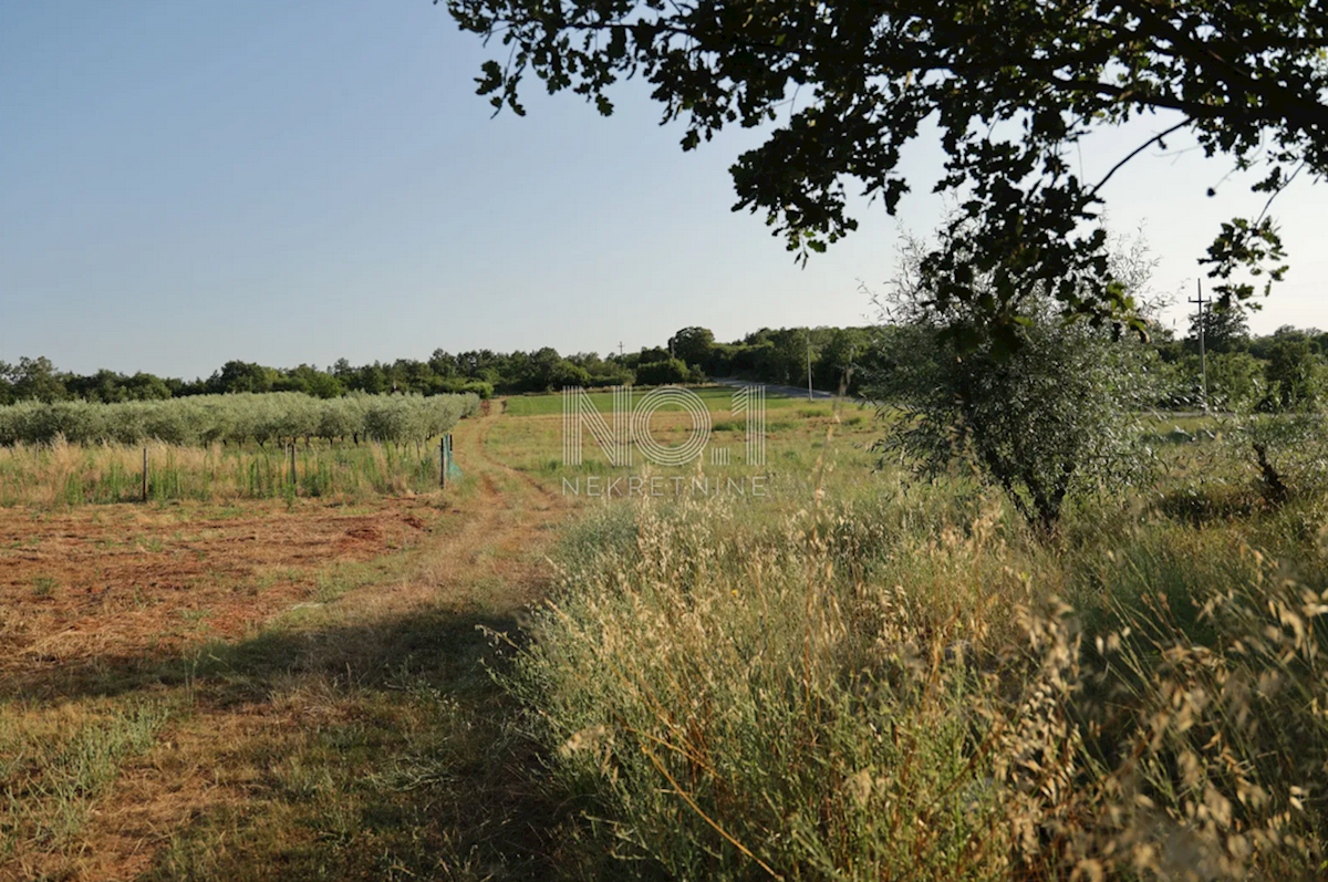 Terreno Žbandaj, Poreč, 11.530m2