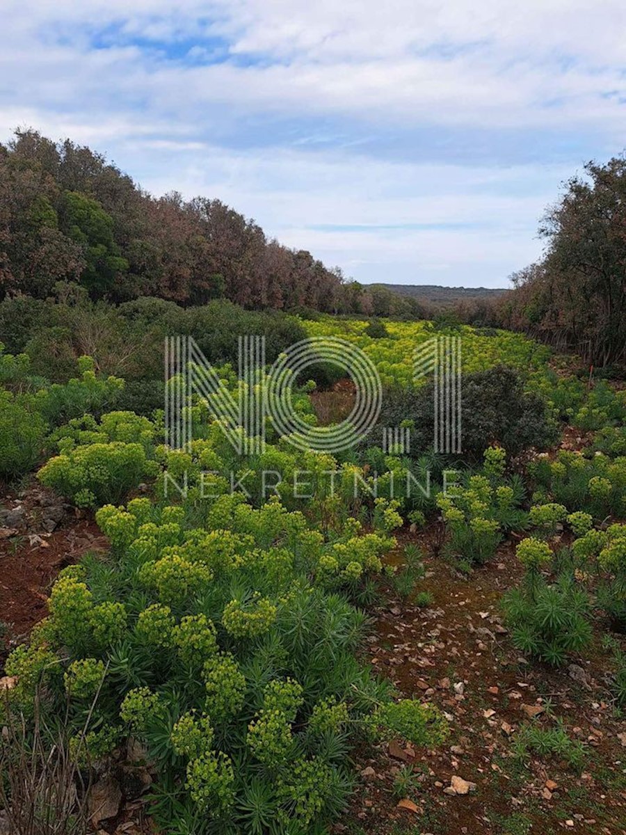 Terreno Punta Križa, Mali Lošinj, 7.400m2