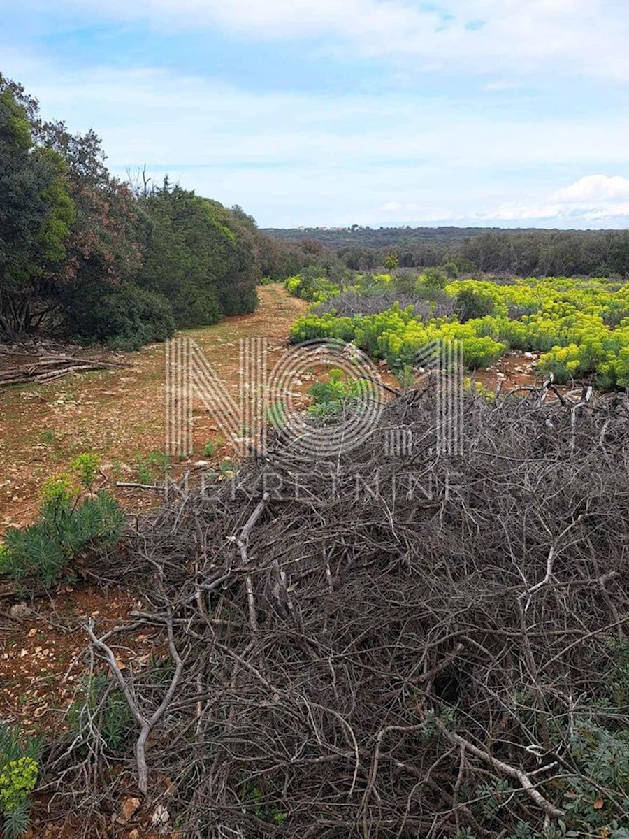 Terreno Punta Križa, Mali Lošinj, 7.400m2