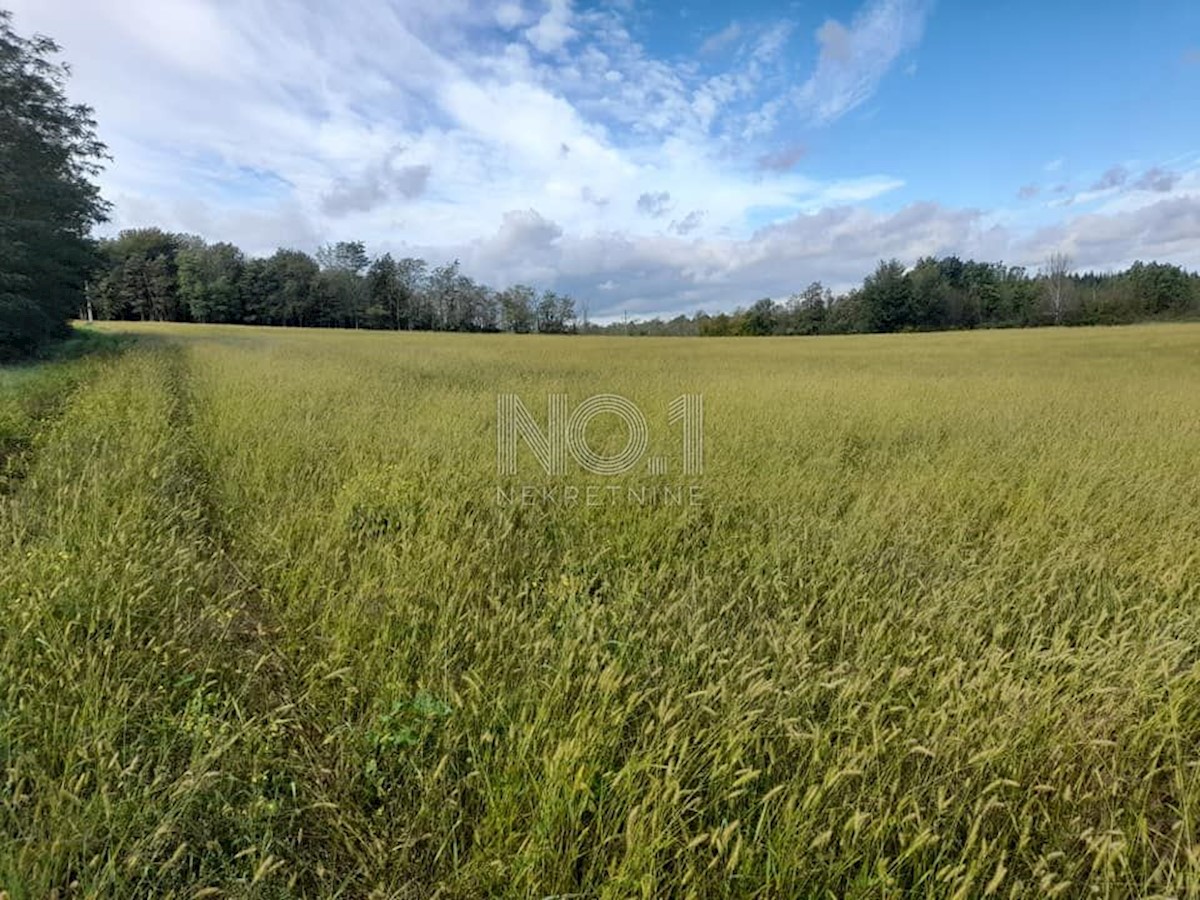 Terreno Vižinada, 35.500m2