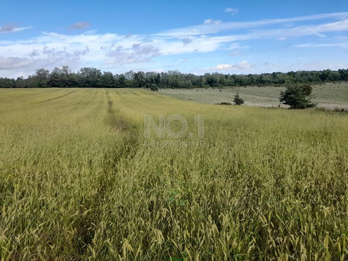 Terreno Vižinada, 35.500m2