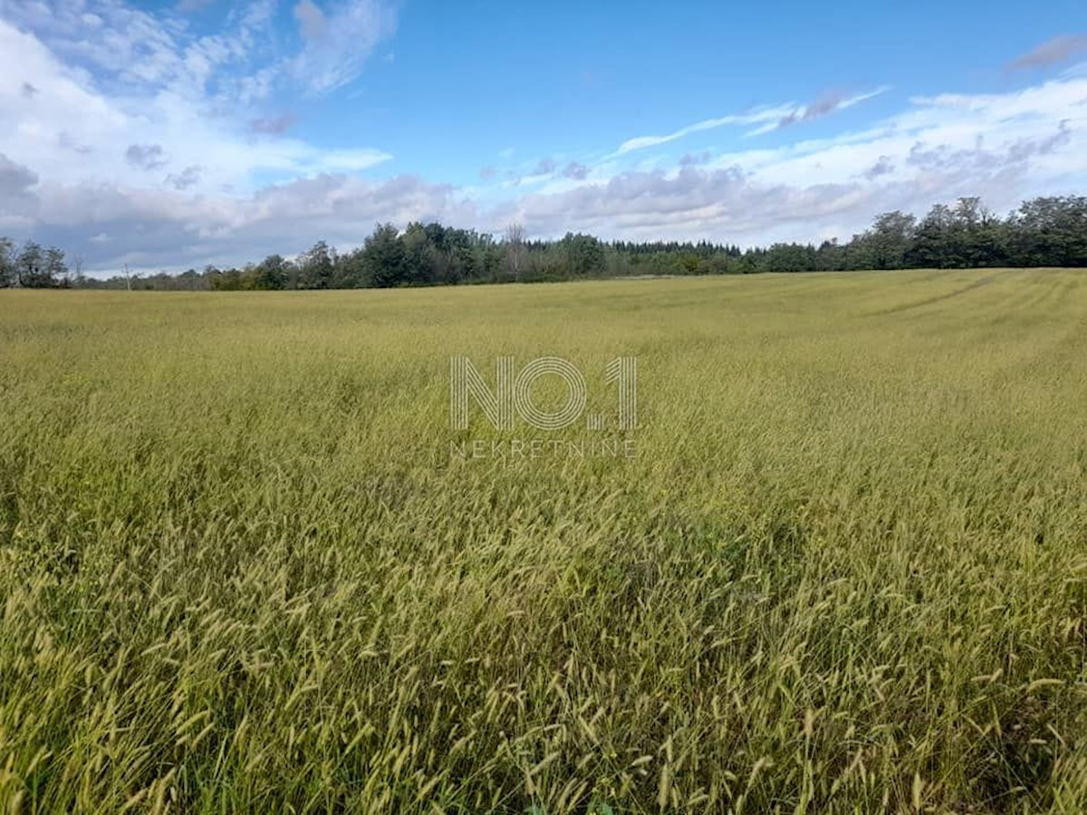 Terreno Vižinada, 35.500m2