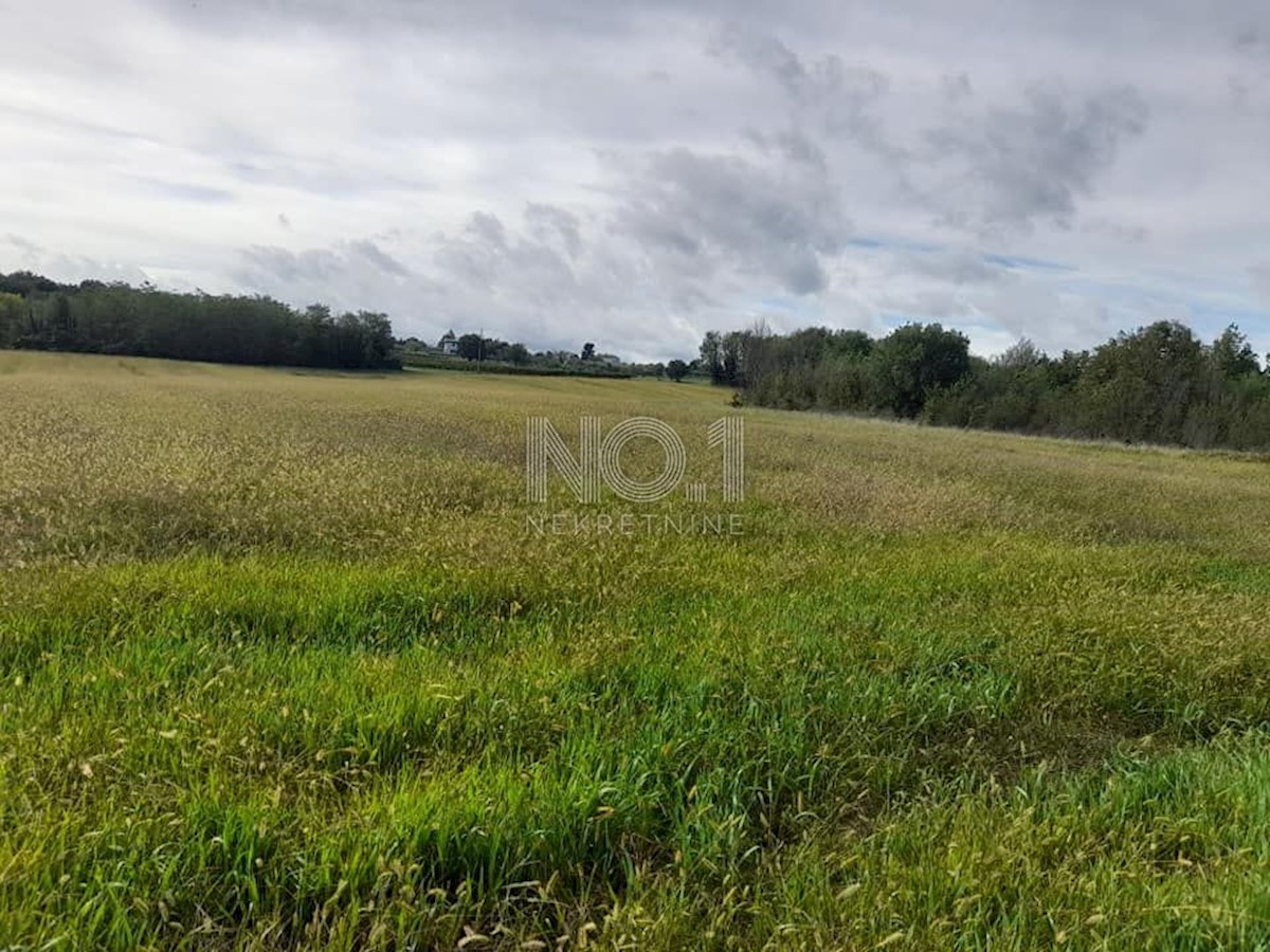 Terreno Vižinada, 35.500m2