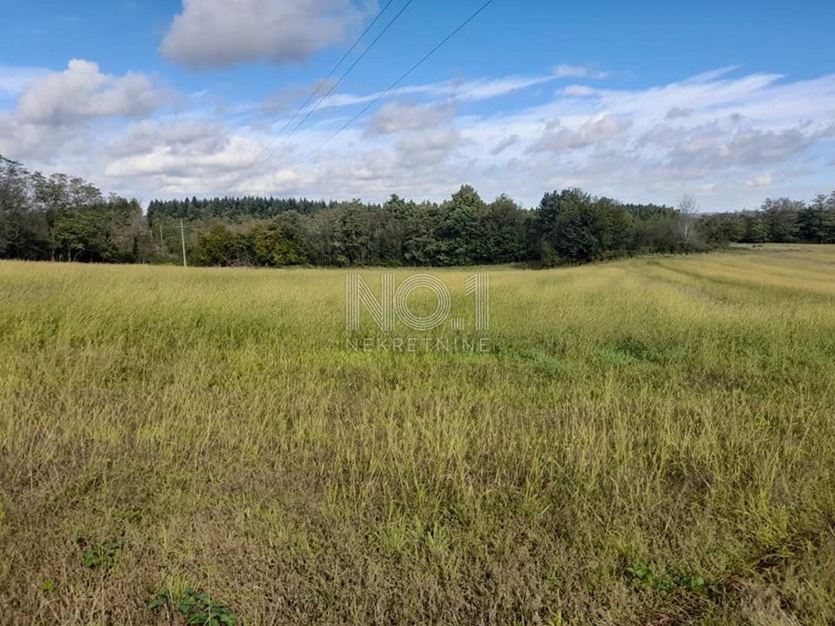 Terreno Vižinada, 35.500m2