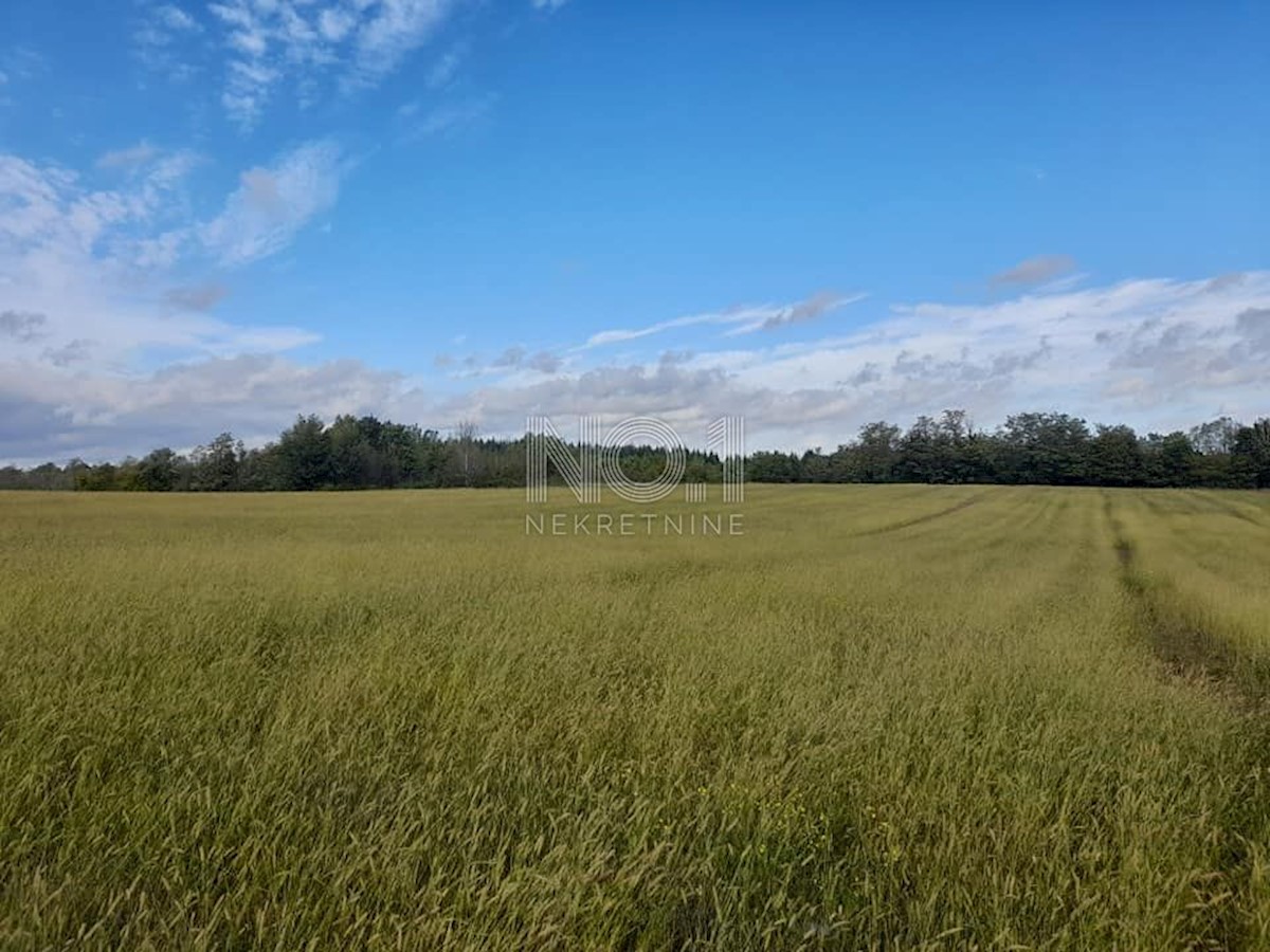 Terreno Vižinada, 35.500m2