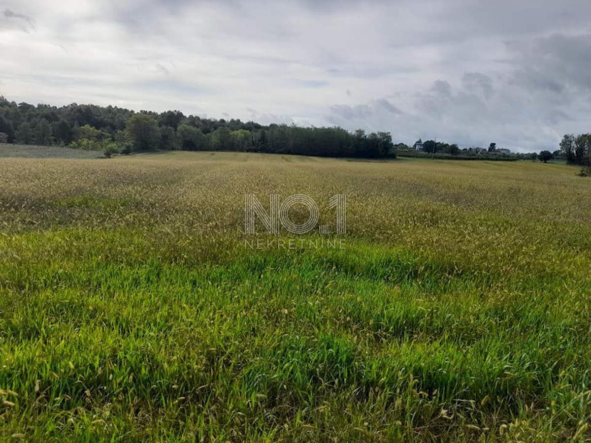 Terreno Vižinada, 35.500m2