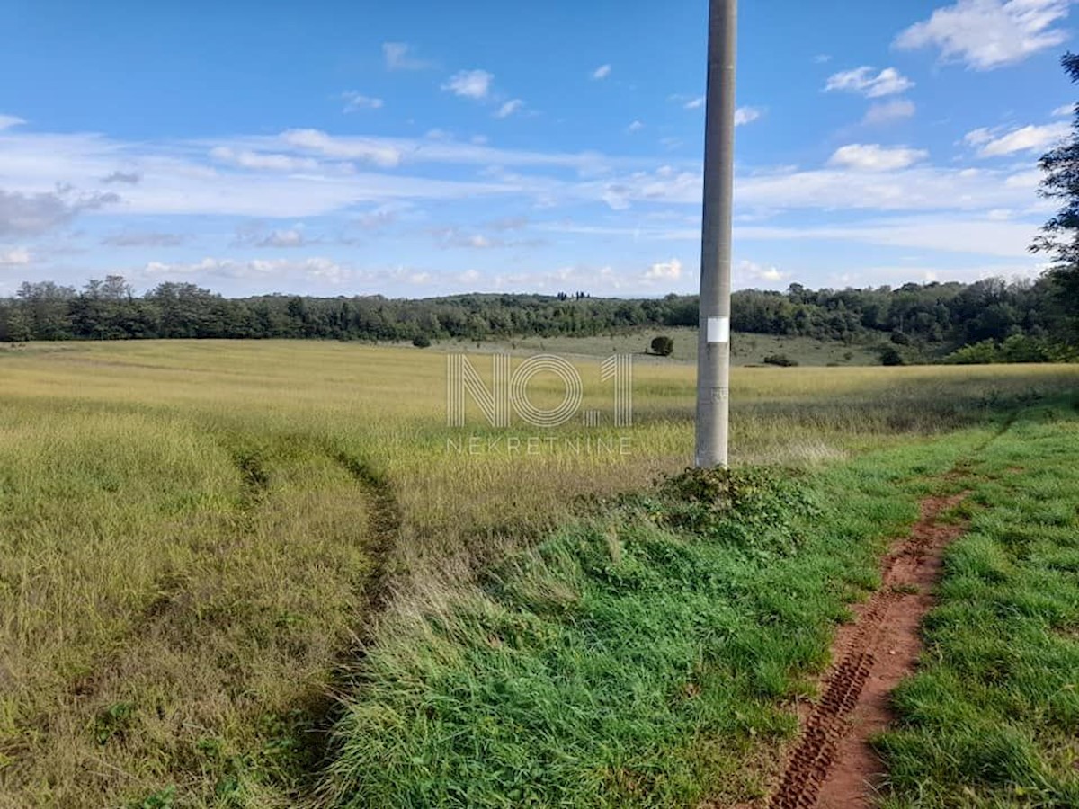 Terreno Vižinada, 35.500m2