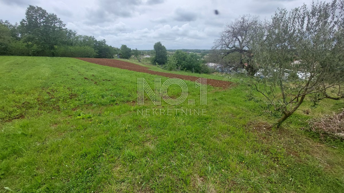 Terreno Zabrežani, Pazin - Okolica, 2.297m2