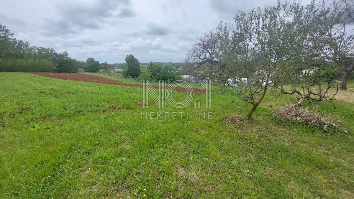 Terreno Zabrežani, Pazin - Okolica, 2.297m2