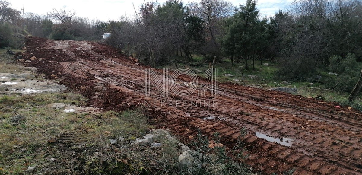 Poreč - terreno 15000 m2