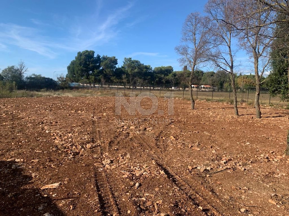 Štinjan - vendita di terreno agricolo a 50 metri dal mare