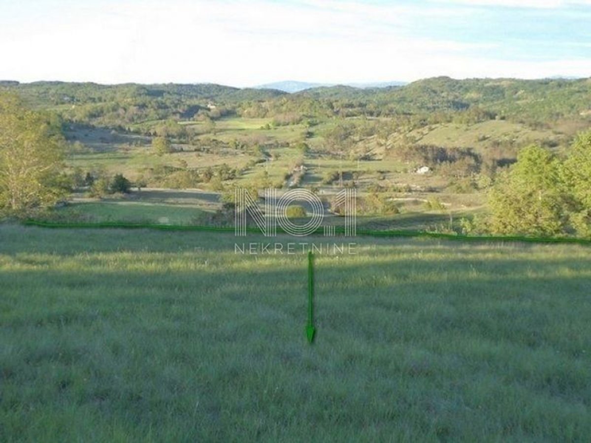 Terreno Trviž, Pazin - Okolica, 46.576m2