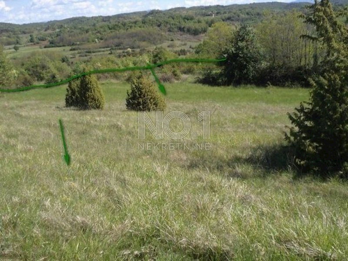 Terreno Trviž, Pazin - Okolica, 46.576m2