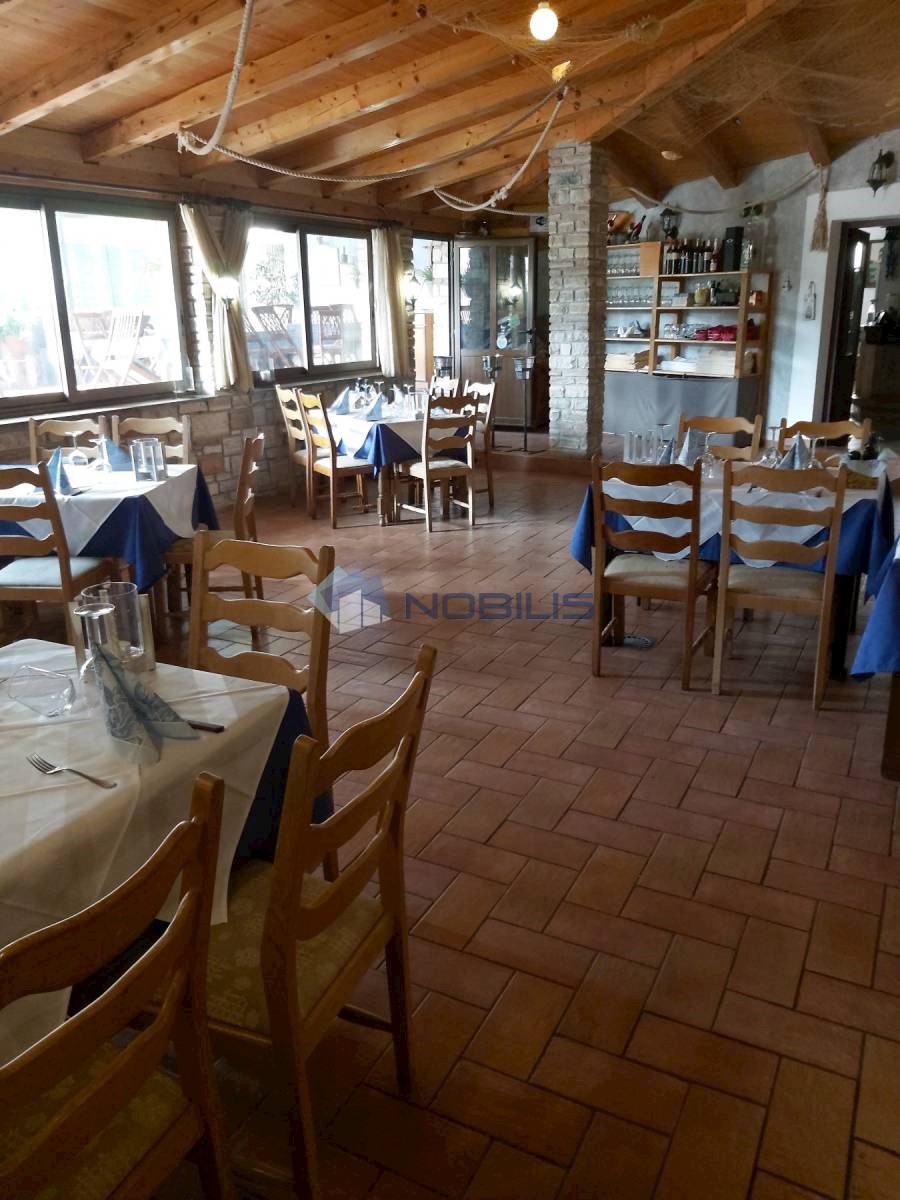 Commerciale Novigrad, Brtonigla, 794m2