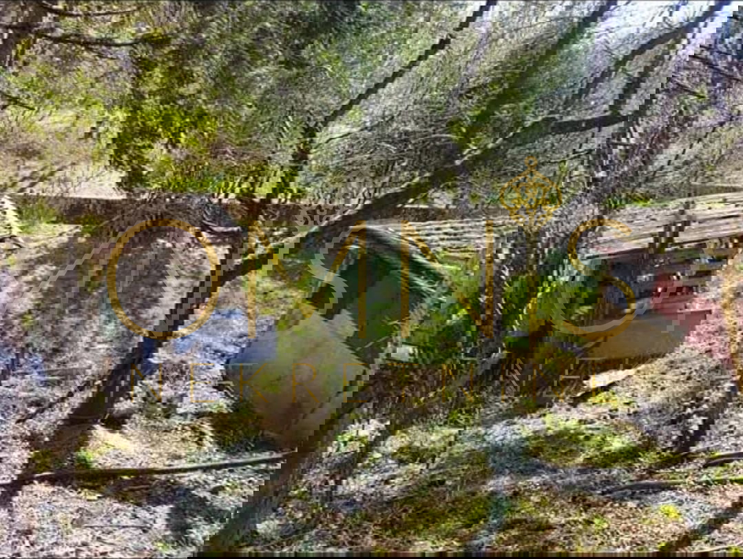 Klana, 1780 m2, vecchia costruzione da ristrutturare (100 m2) Vendita!