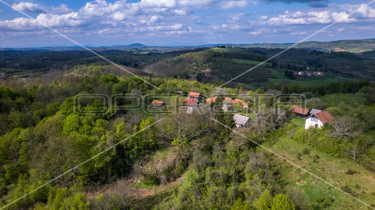 Mrkići-Brebornica, Krnjak, 299.448,00 m2, 1.800.000,00 EUR