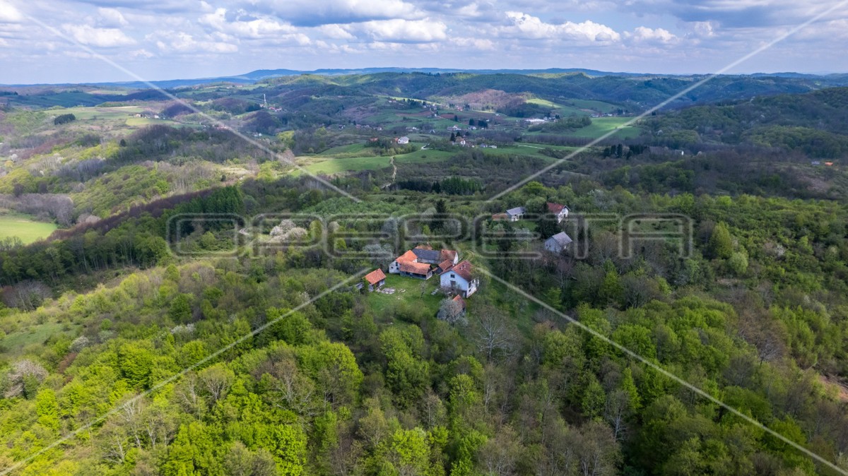 Mrkići-Brebornica, Krnjak, 299.448,00 m2, 1.800.000,00 EUR