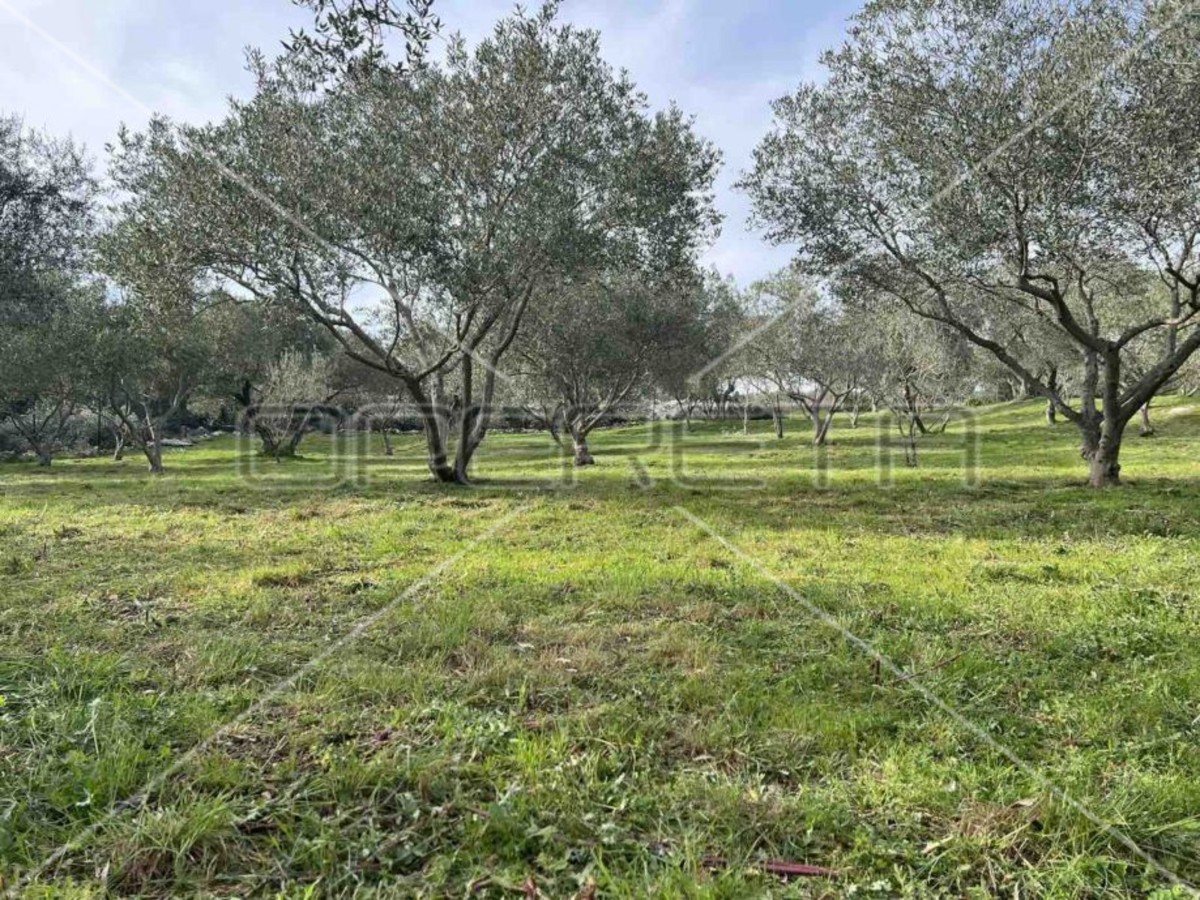 Punta Križa, Mali Lošinj, 4.260,00 m2, 249.000,00 EUR