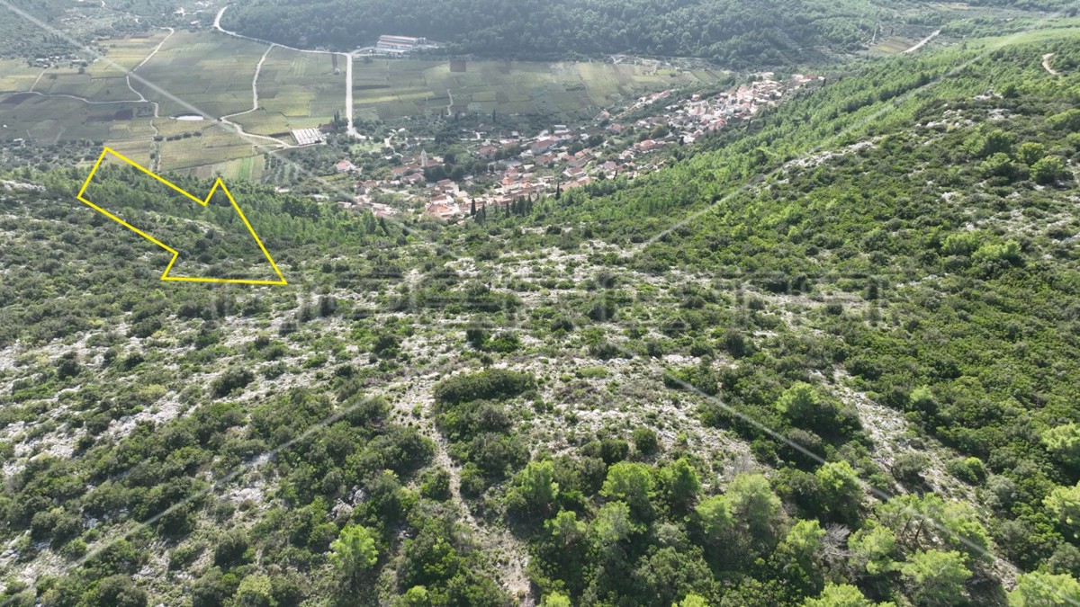 Terreno di 51.000 m2 con vista mare, Čara, Korčula