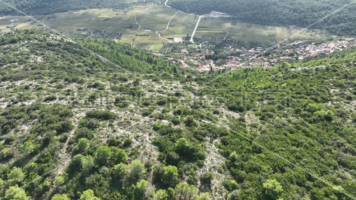 Terreno di 51.000 m2 con vista mare, Čara, Korčula