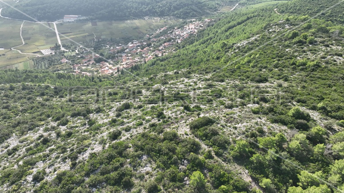 Terreno di 51.000 m2 con vista mare, Čara, Korčula