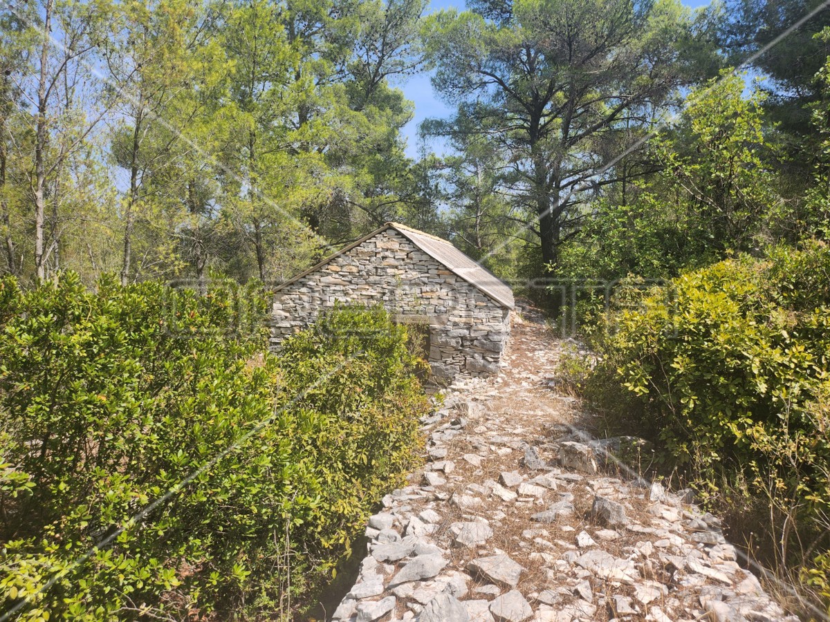 Terreno agricolo con casa – Prigradica, Korčula