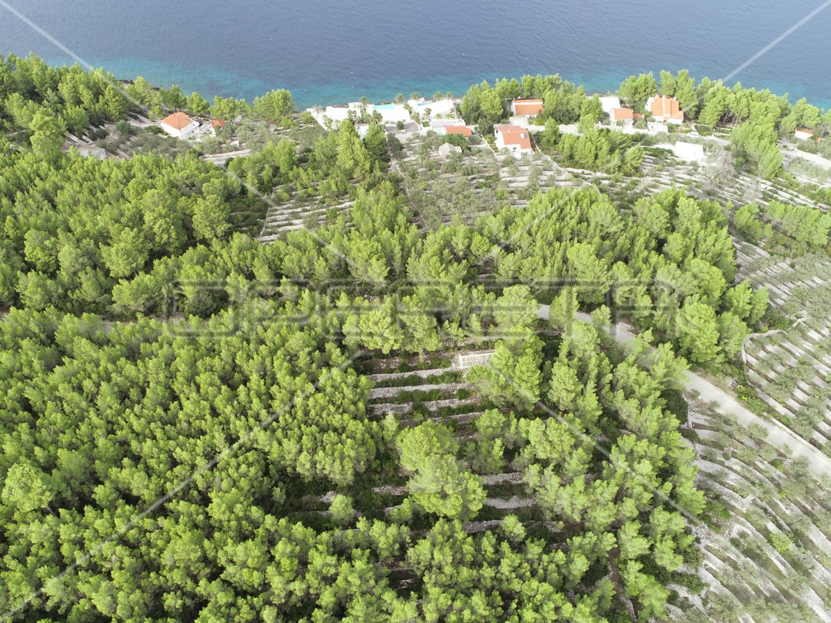 Terreno agricolo con casa – Prigradica, Korčula