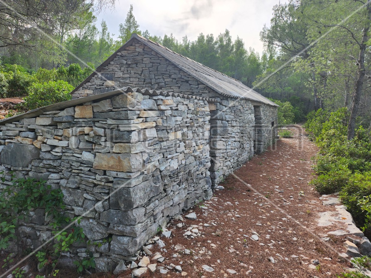 Terreno agricolo con casa – Prigradica, Korčula
