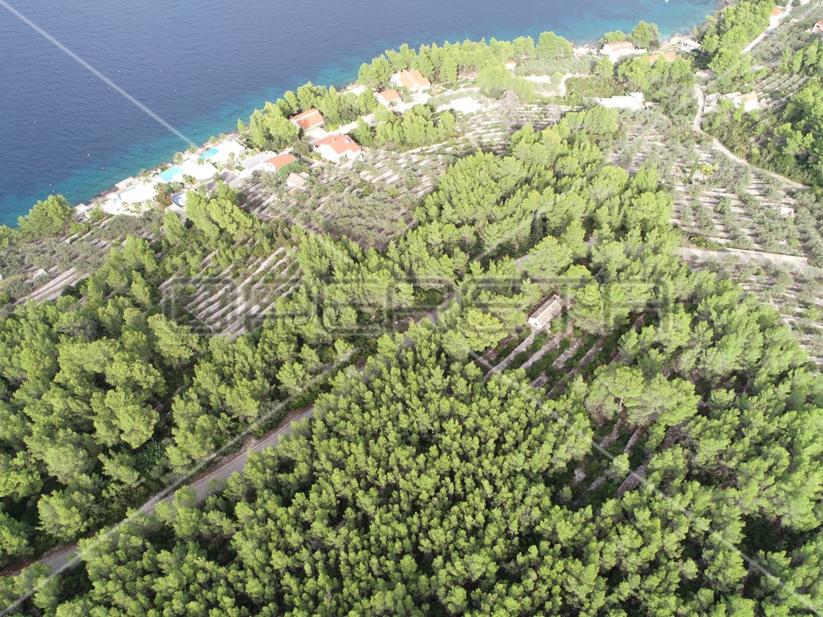 Terreno agricolo con casa – Prigradica, Korčula