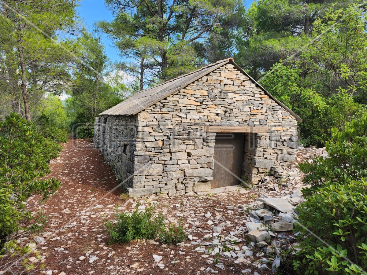 Terreno agricolo con casa – Prigradica, Korčula