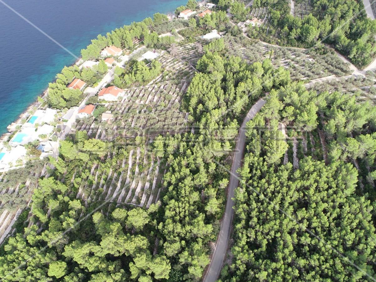 Terreno agricolo con casa – Prigradica, Korčula