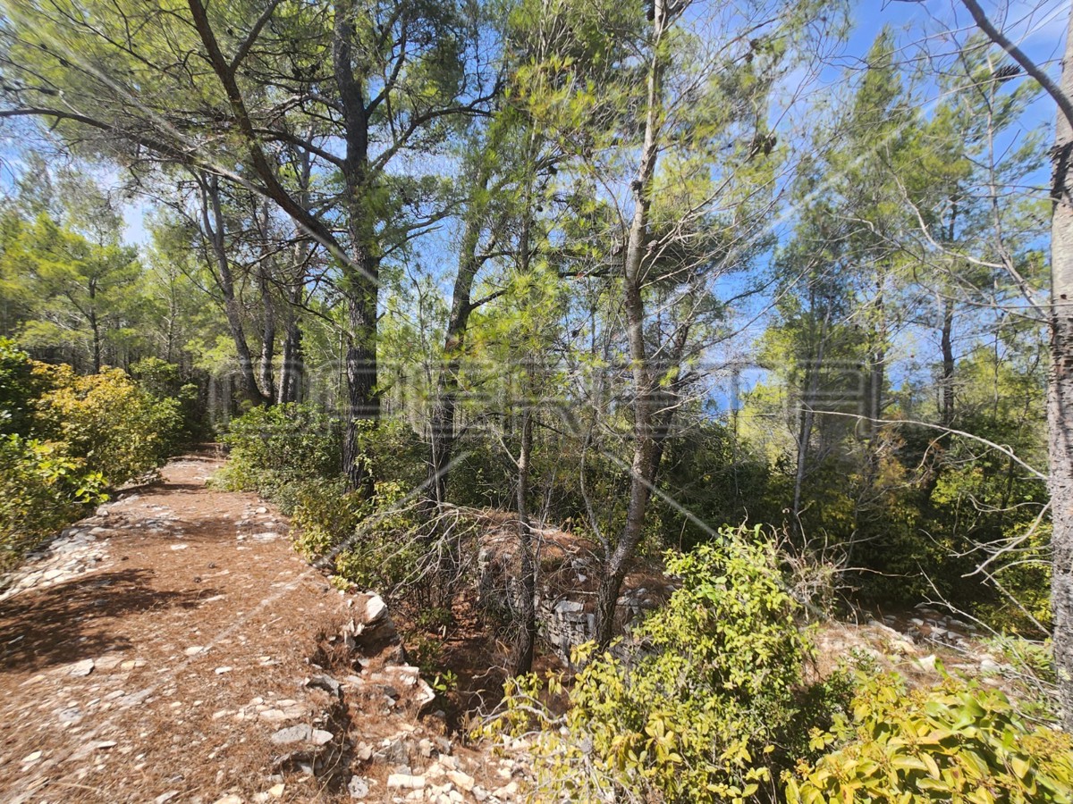 Terreno agricolo con casa – Prigradica, Korčula