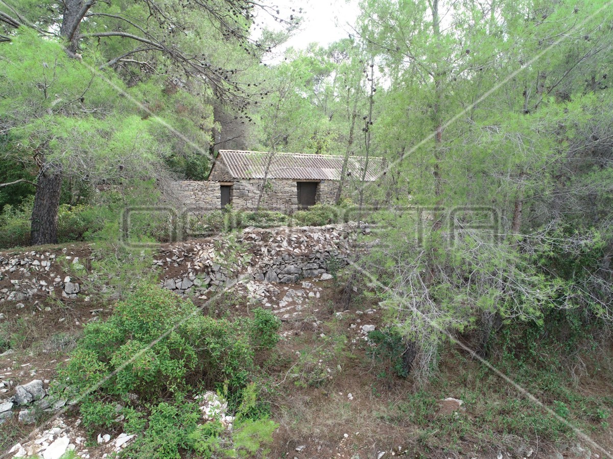 Terreno agricolo con casa – Prigradica, Korčula