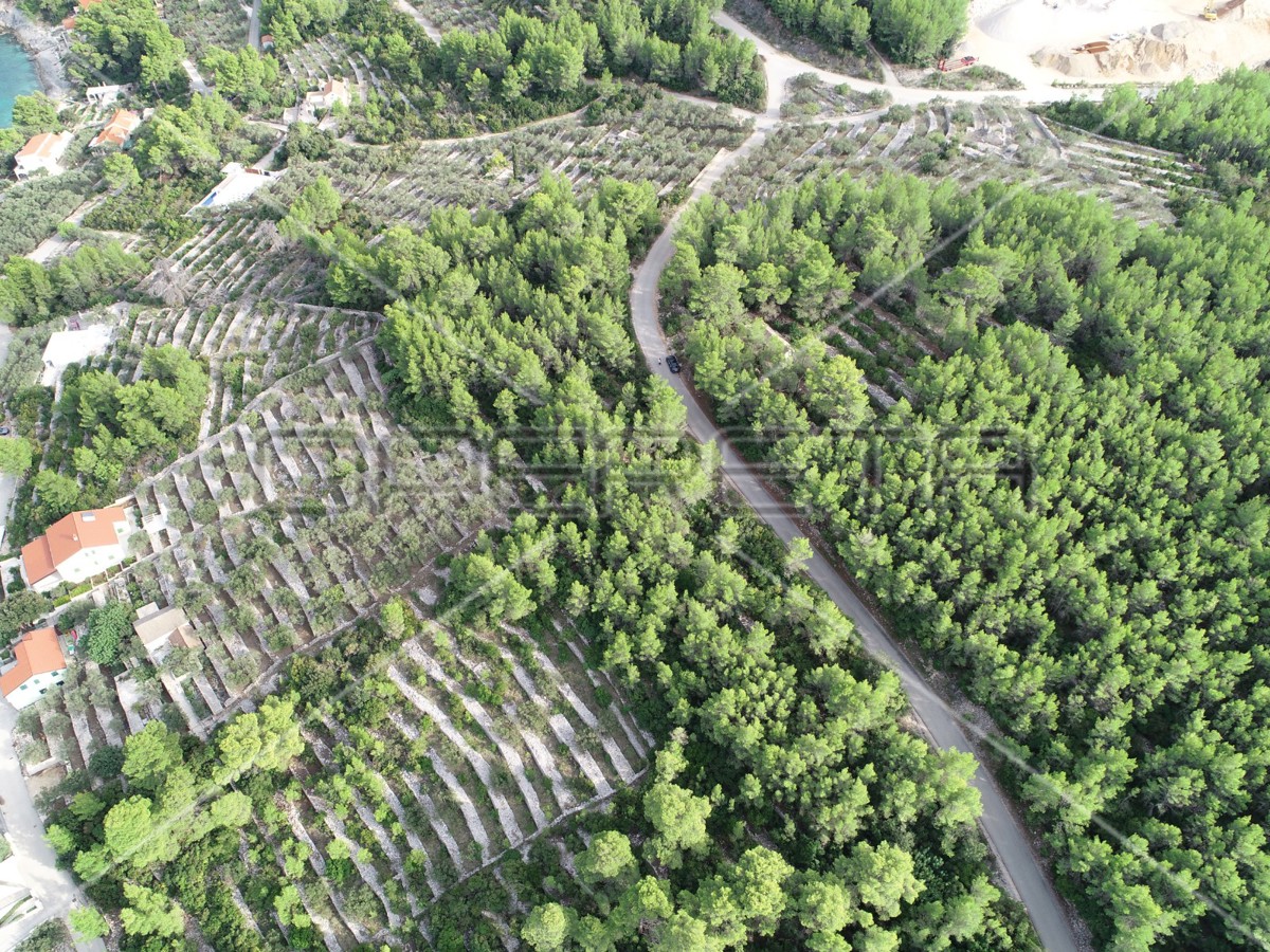 Terreno agricolo con casa – Prigradica, Korčula