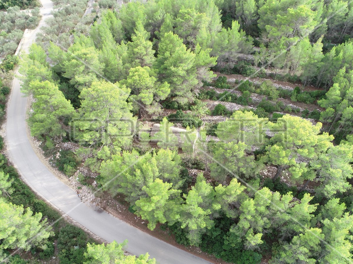 Terreno agricolo con casa – Prigradica, Korčula