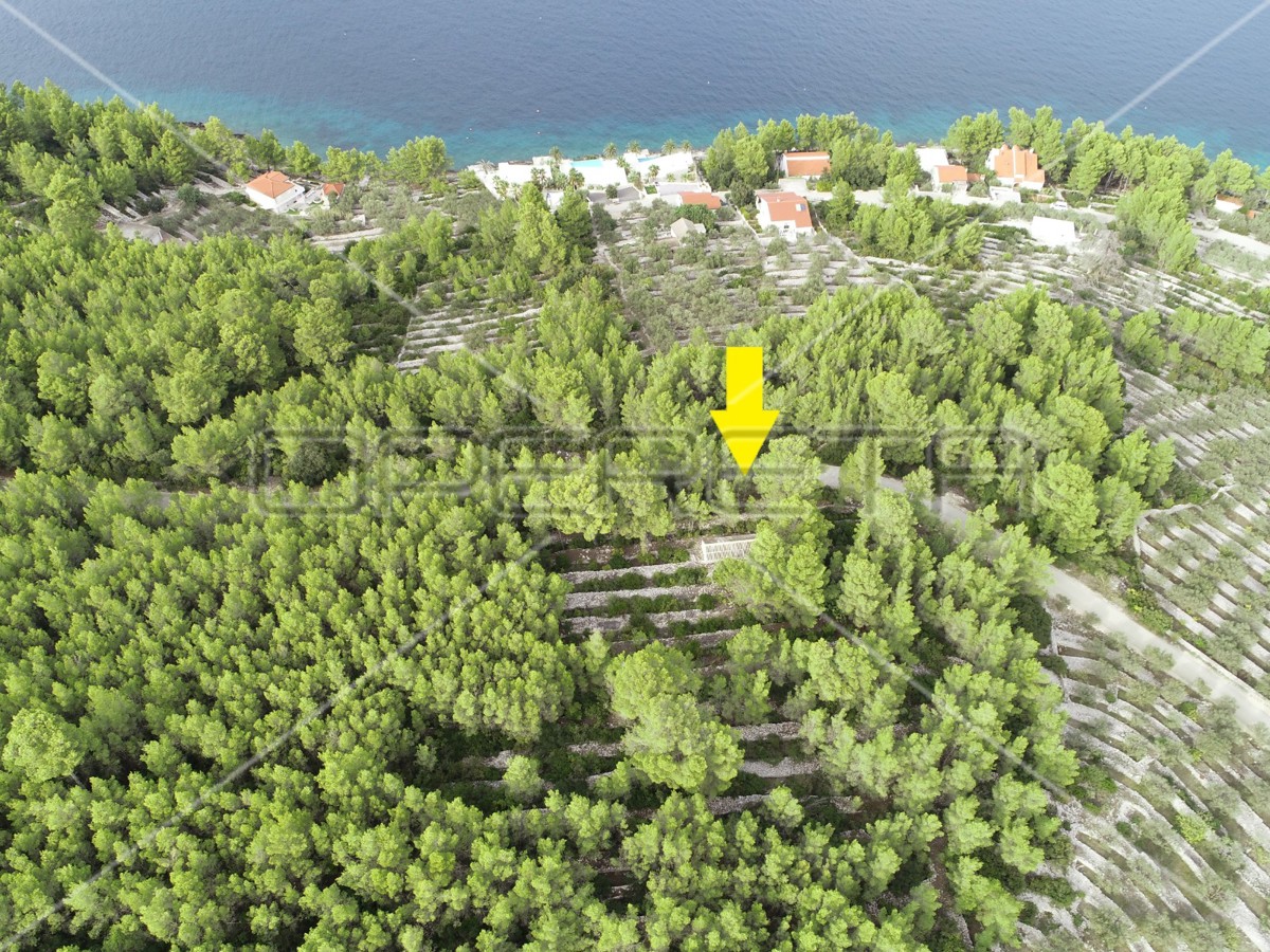 Terreno agricolo con casa – Prigradica, Korčula
