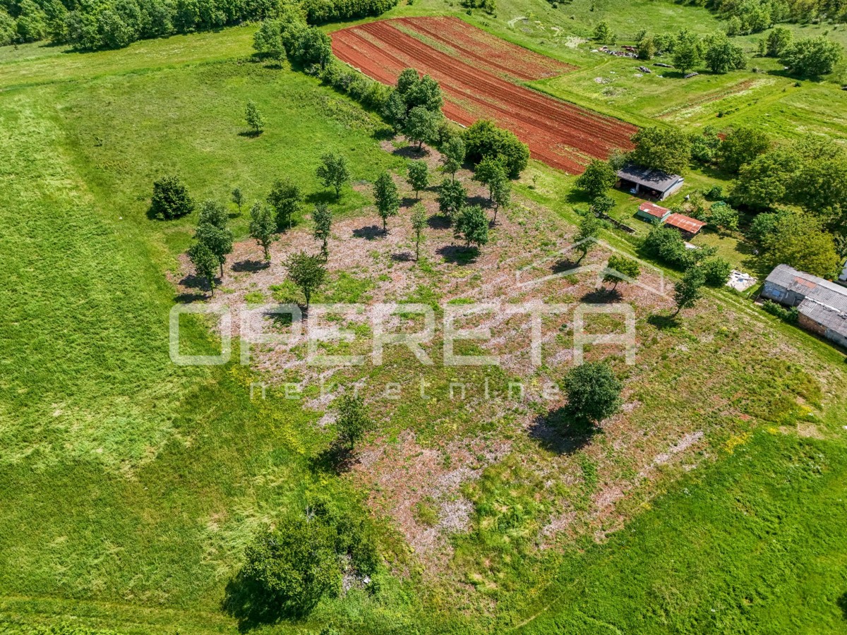 Istria, dintorni di Vizinada – terreno edificabile e agricolo