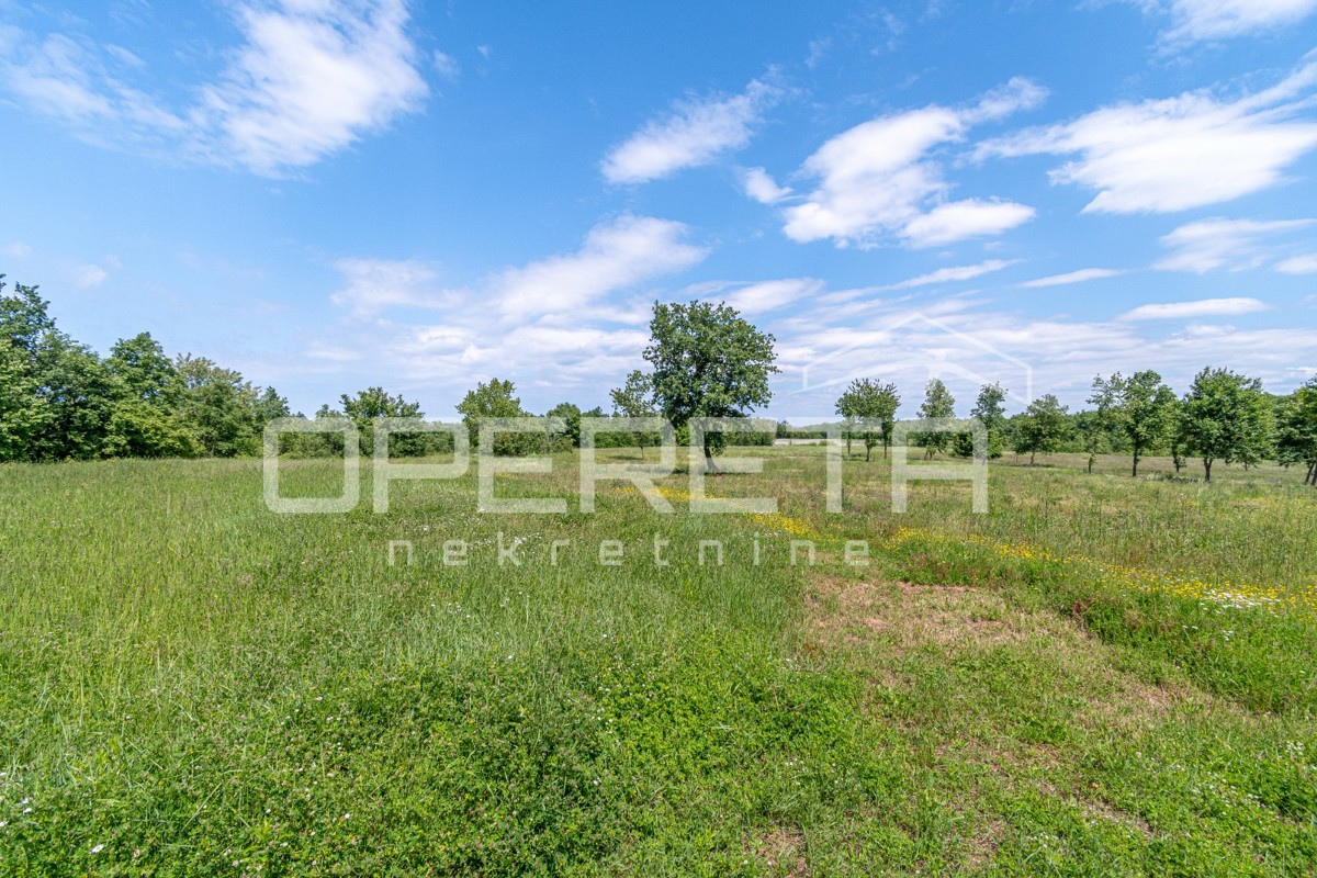 Istria, dintorni di Vizinada – terreno edificabile e agricolo