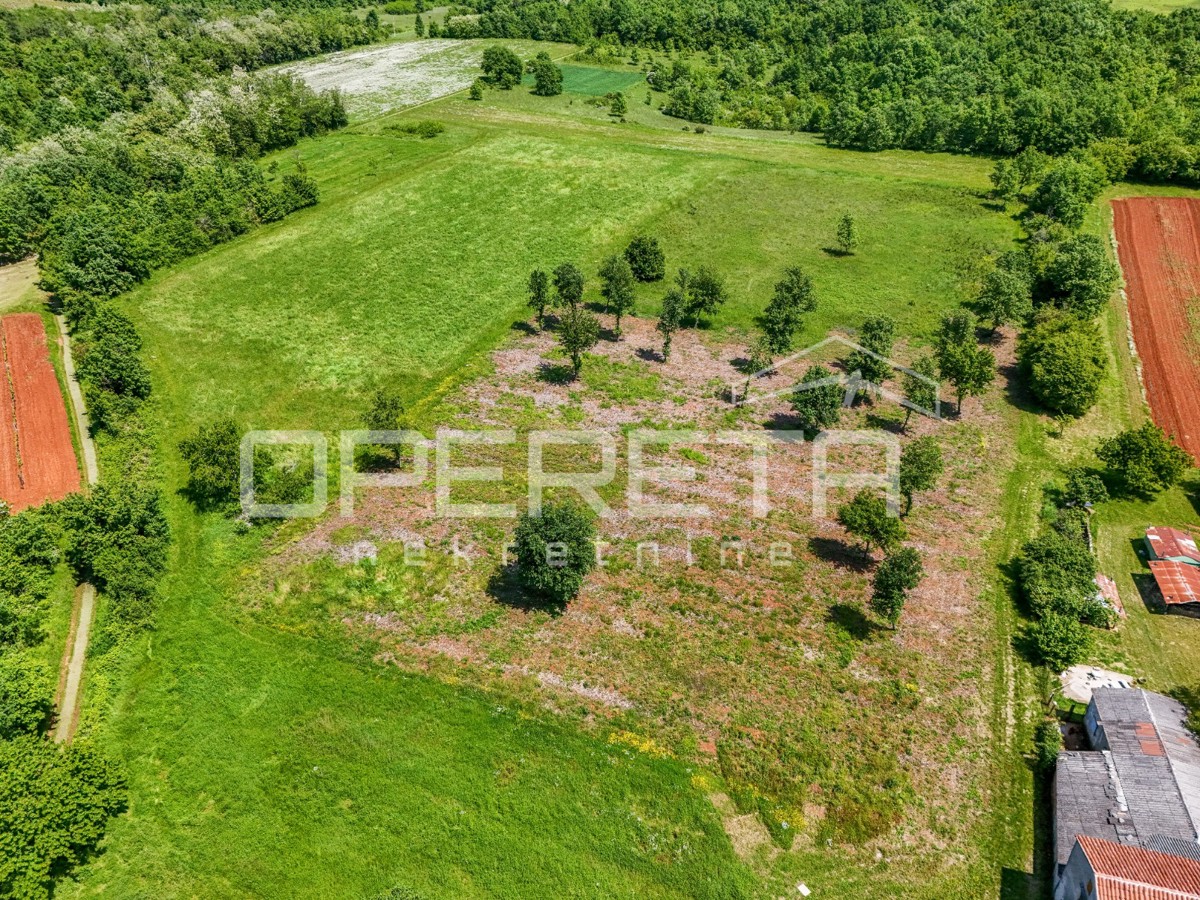 Istria, dintorni di Vizinada – terreno edificabile e agricolo