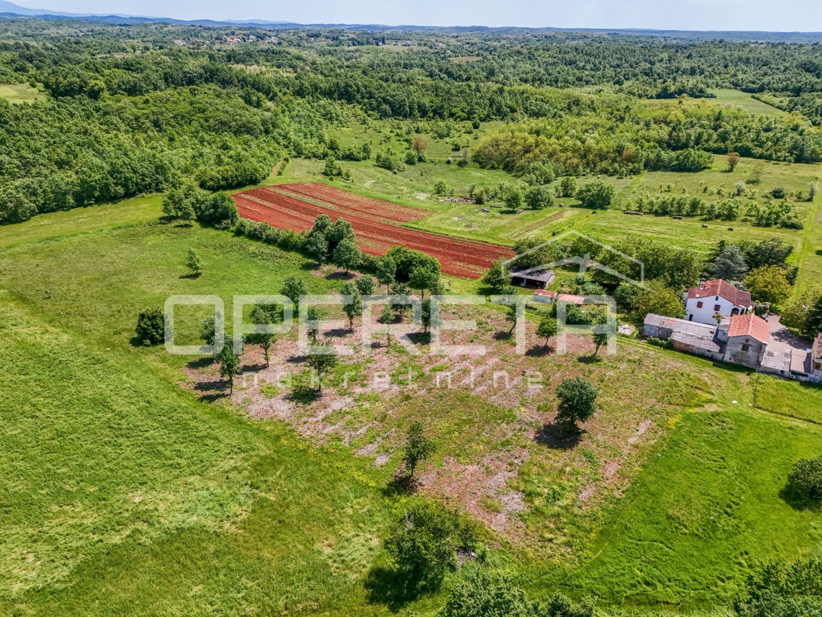 Istria, dintorni di Vizinada – terreno edificabile e agricolo