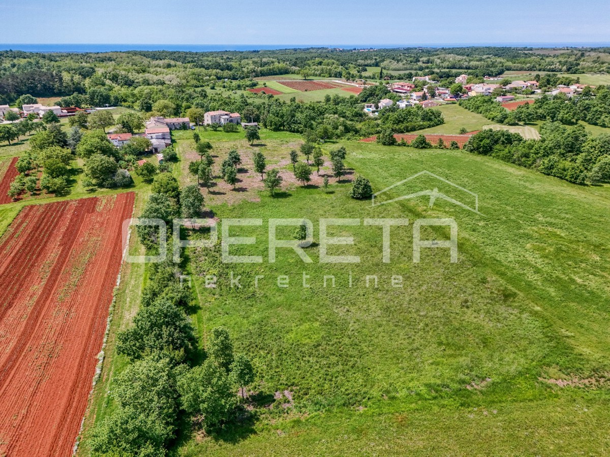 Istria, dintorni di Vizinada – terreno edificabile e agricolo