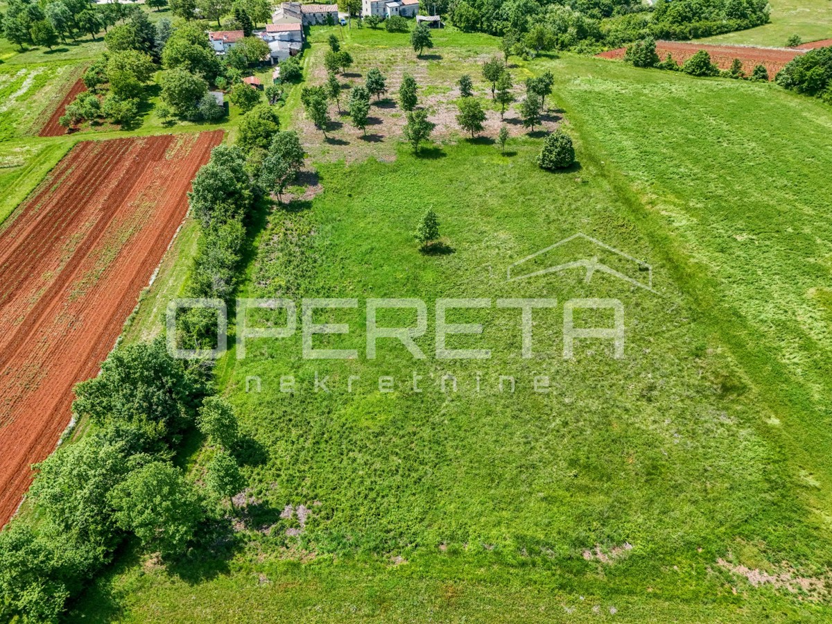 Istria, dintorni di Vizinada – terreno edificabile e agricolo