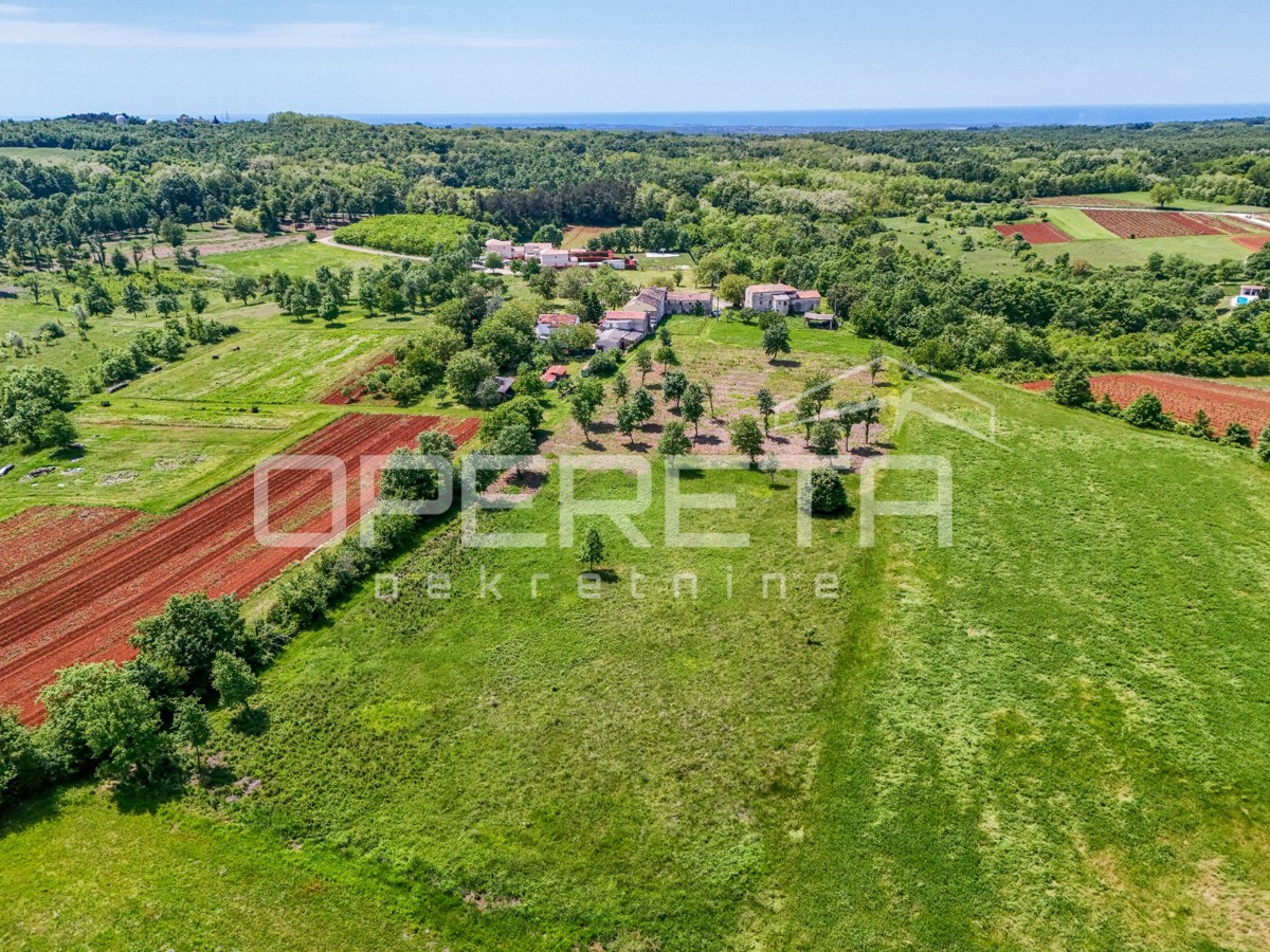 Istria, dintorni di Vizinada – terreno edificabile e agricolo