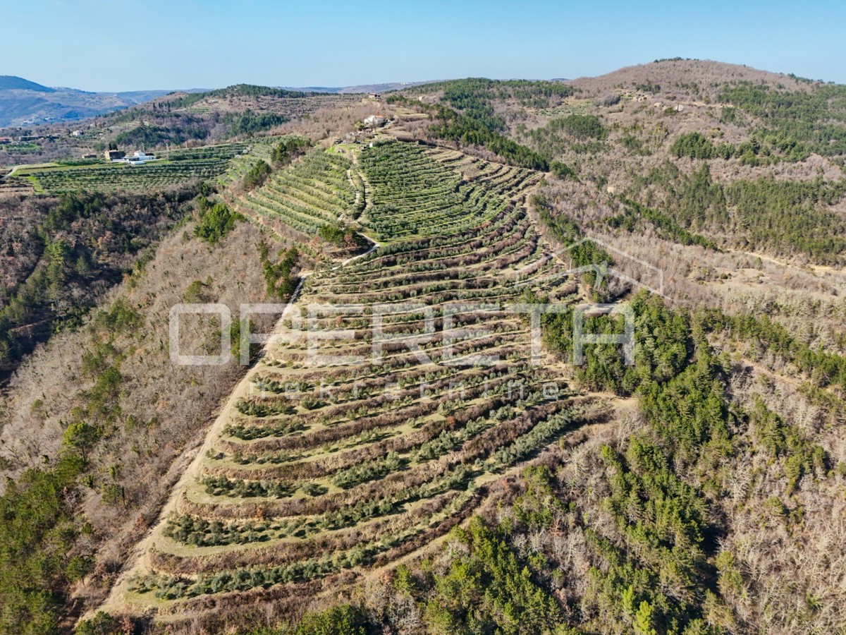 Grande proprietà di 170.000 m2 con una vista splendida