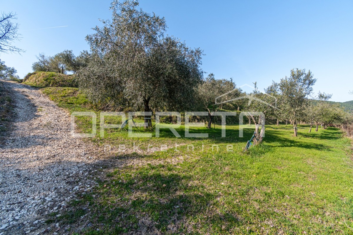 Grande proprietà di 170.000 m2 con una vista splendida